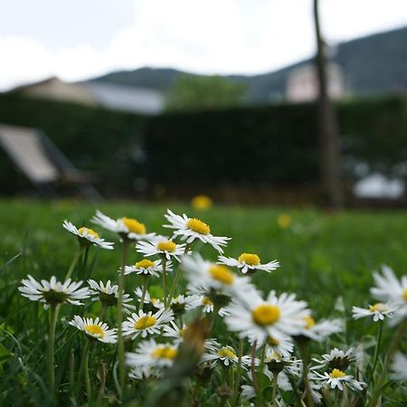 Apartamento Con Jardin En La Cerdanya Err Екстер'єр фото