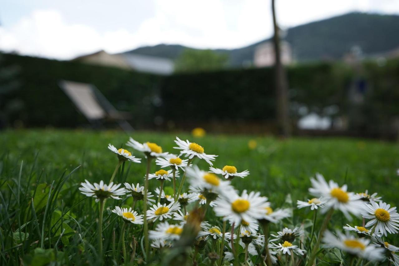 Apartamento Con Jardin En La Cerdanya Err Екстер'єр фото